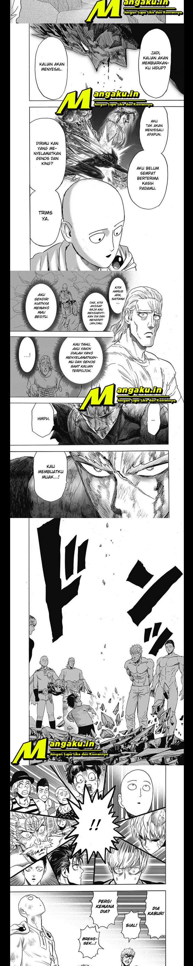One Punch Man Chapter 223.2 5