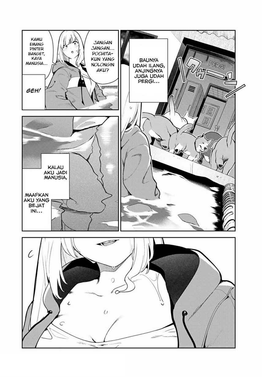 Inu ni Nattara Suki na Hito ni Hirowareta Chapter 14 Gambar 10