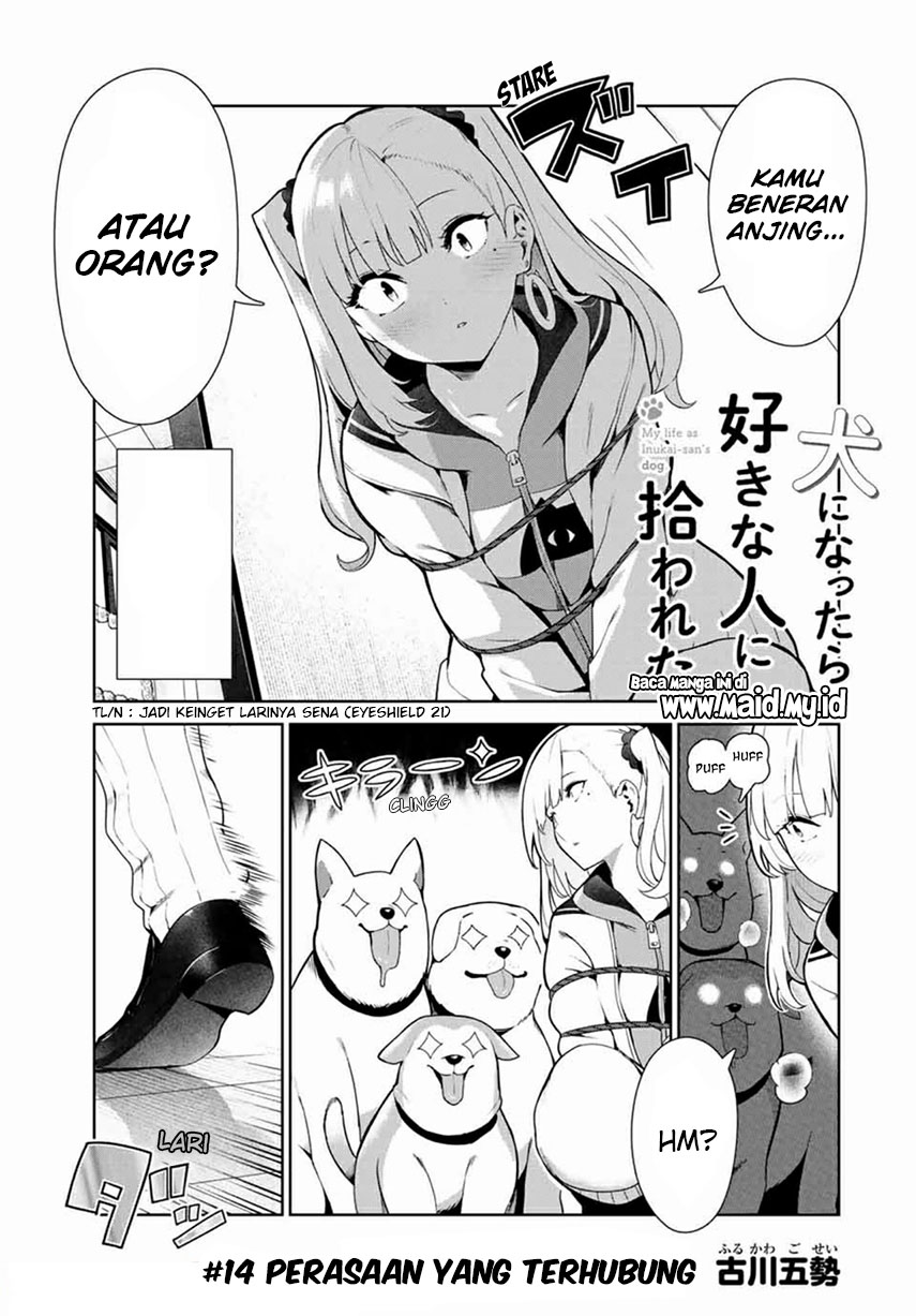 Inu ni Nattara Suki na Hito ni Hirowareta Chapter 14 Gambar 3