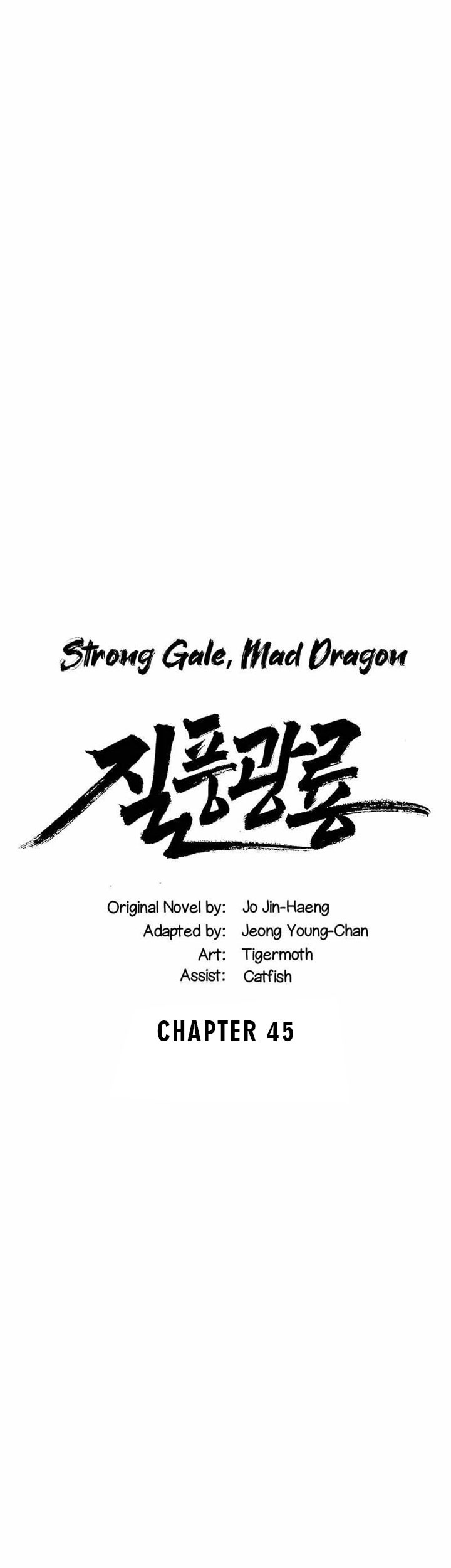 Baca Strong Gale, Mad Dragon Chapter 45 Gambar 2