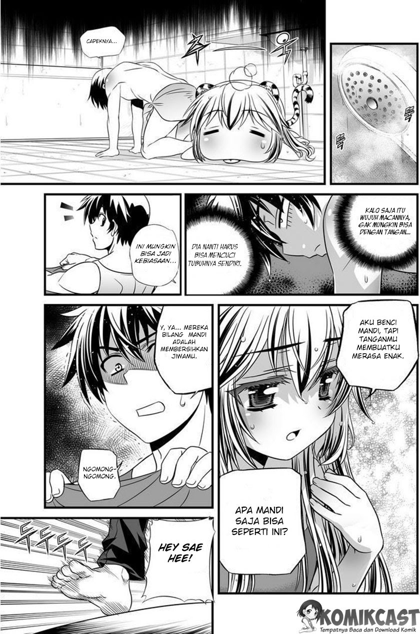 My Love Tiger Chapter 07 Gambar 12