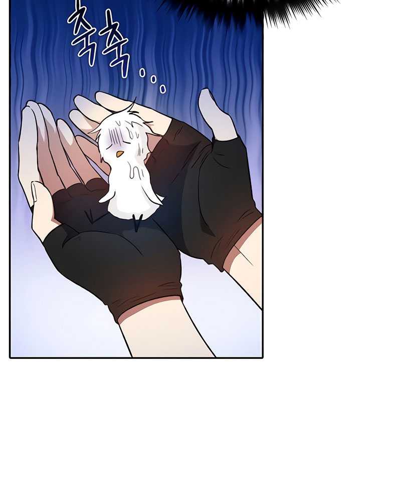 The S-Classes That I Raised Chapter 50 Gambar 95