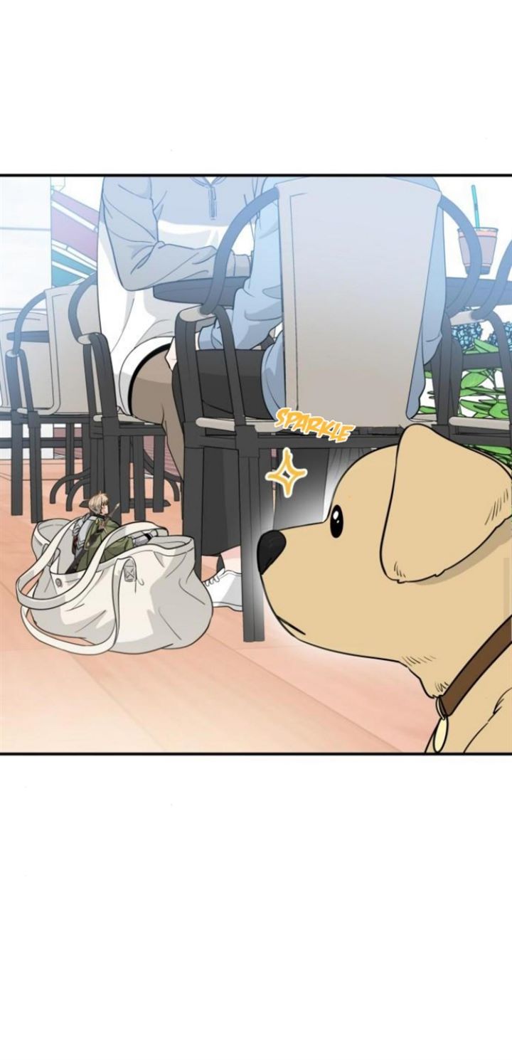 Protect Me, Knight Chapter 8 Gambar 27