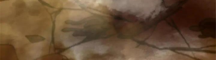 Release That Witch Chapter 407 Gambar 48