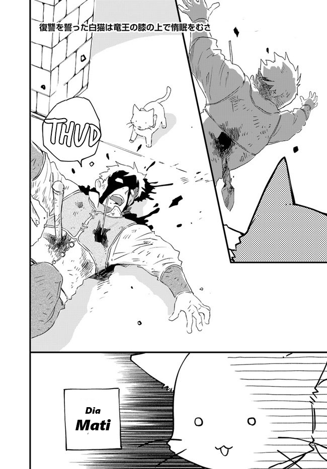 A Vengeful White Cat Lounges Around on the Dragon King’s Lap Chapter 14 Gambar 25