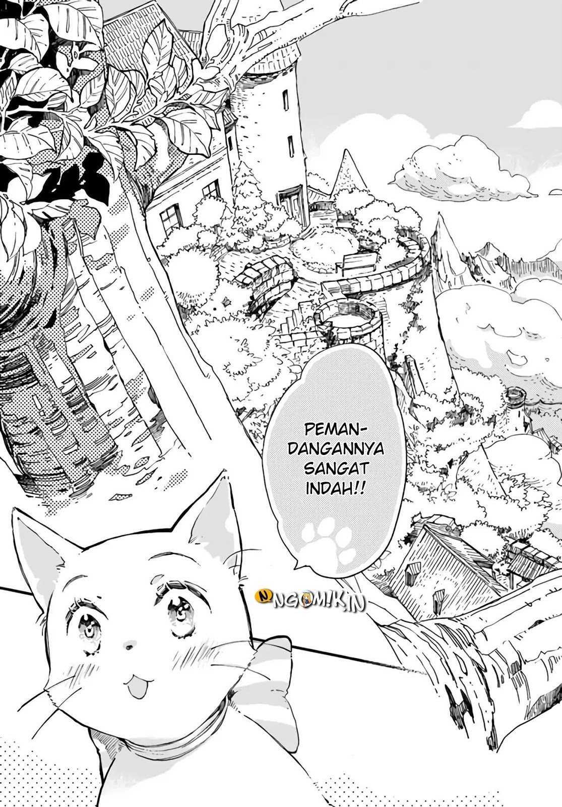 A Vengeful White Cat Lounges Around on the Dragon King’s Lap Chapter 09 Gambar 25