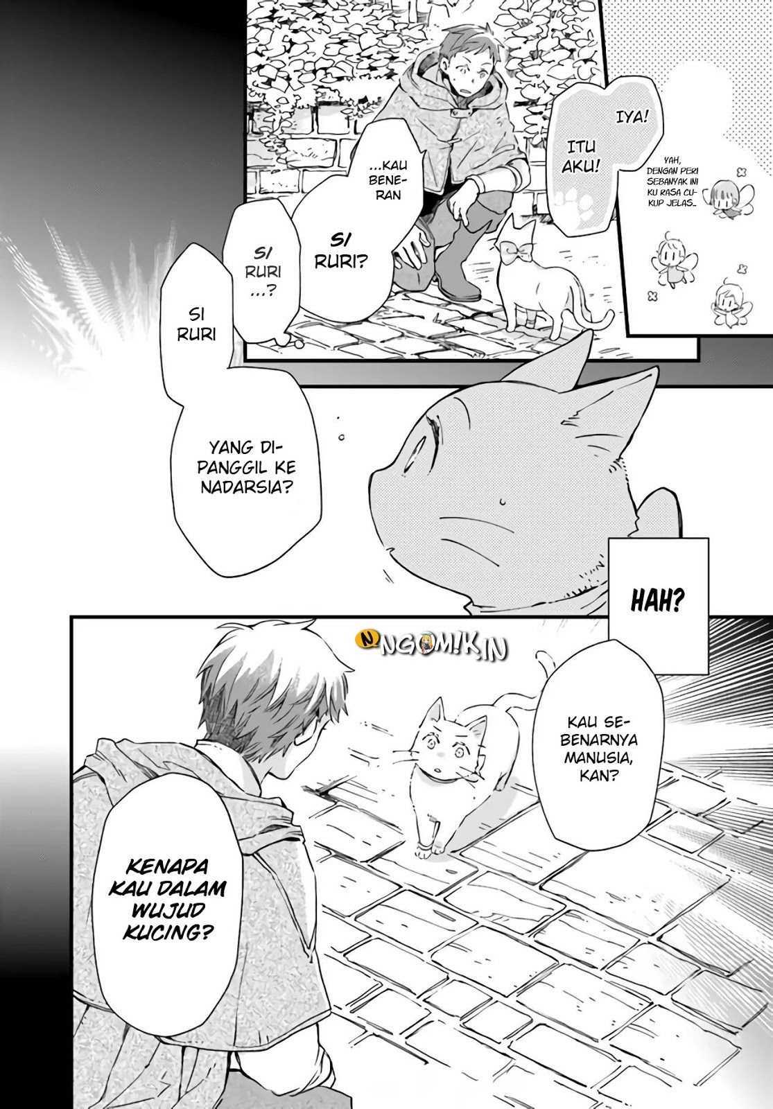 A Vengeful White Cat Lounges Around on the Dragon King’s Lap Chapter 09 Gambar 30