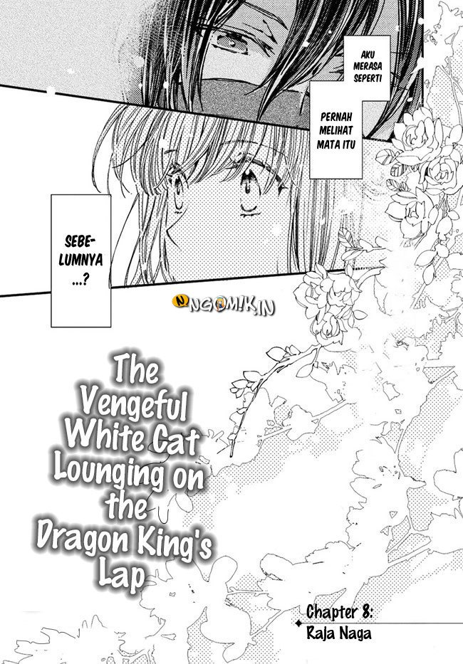 A Vengeful White Cat Lounges Around on the Dragon King’s Lap Chapter 08 Gambar 5