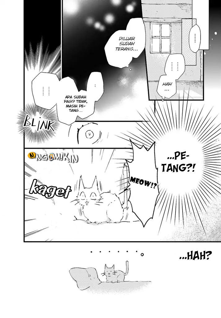 A Vengeful White Cat Lounges Around on the Dragon King’s Lap Chapter 05 Gambar 18