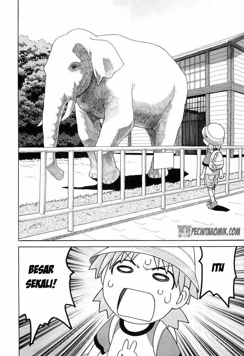 Yotsuba to! Chapter 19 21