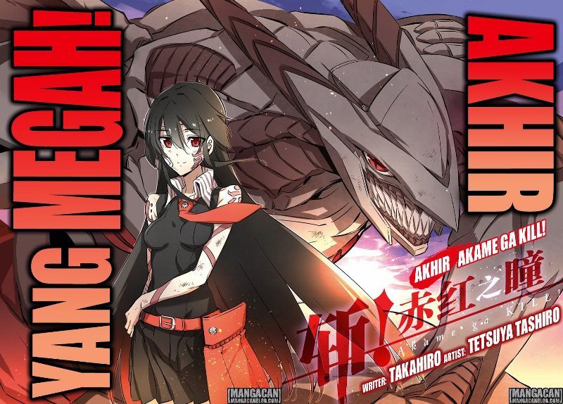 Akame ga Kill! Chapter 78 Gambar 3