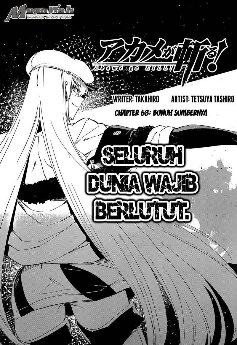 Akame ga Kill! Chapter 68 Gambar 4