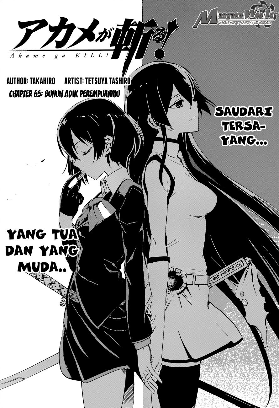 Akame ga Kill! Chapter 65 Gambar 4