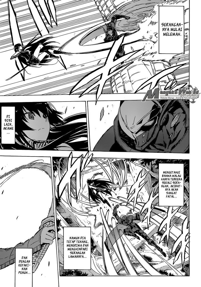 Akame ga Kill! Chapter 62 Gambar 13