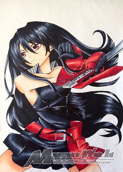 Akame ga Kill! Chapter 61 Gambar 42