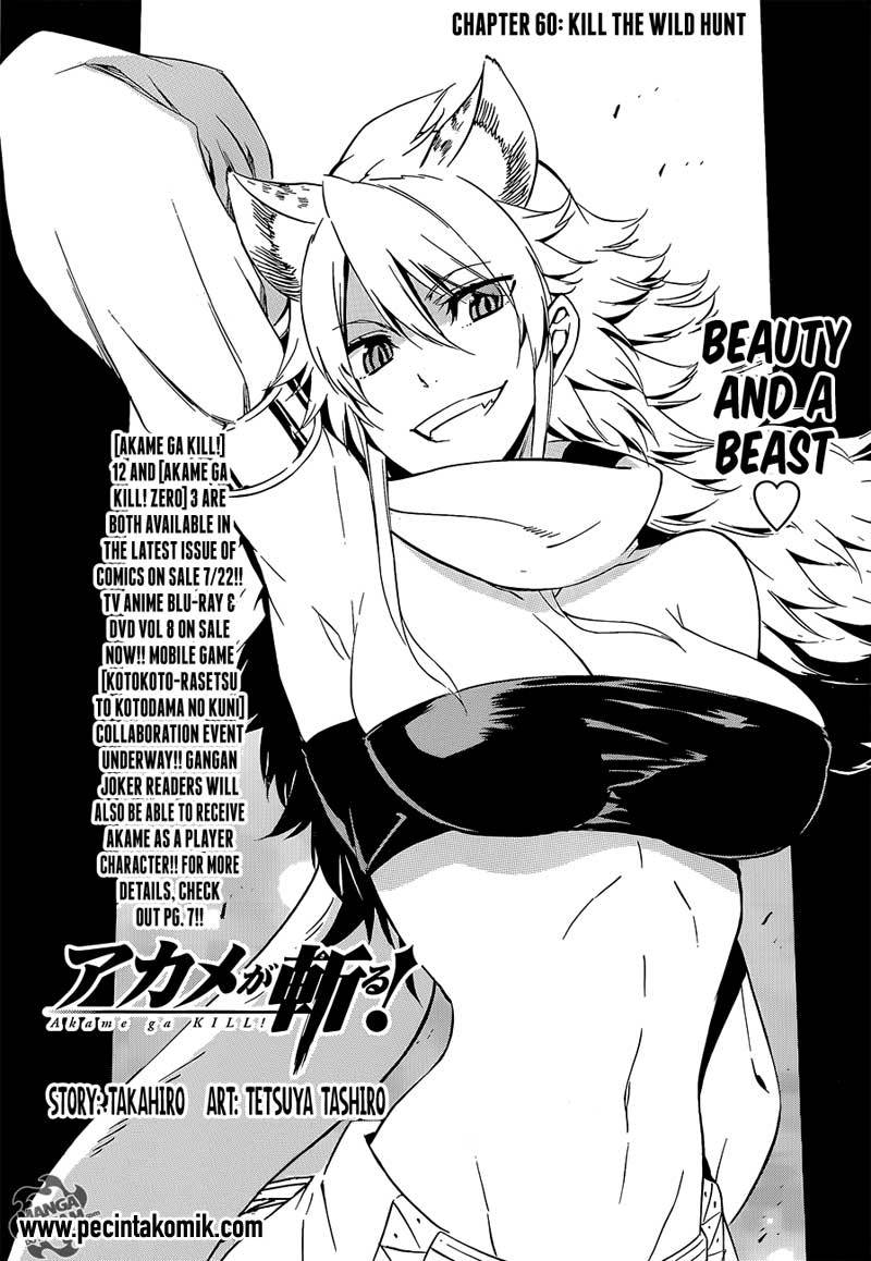 Baca Akame ga Kill! Chapter 60 Gambar 2