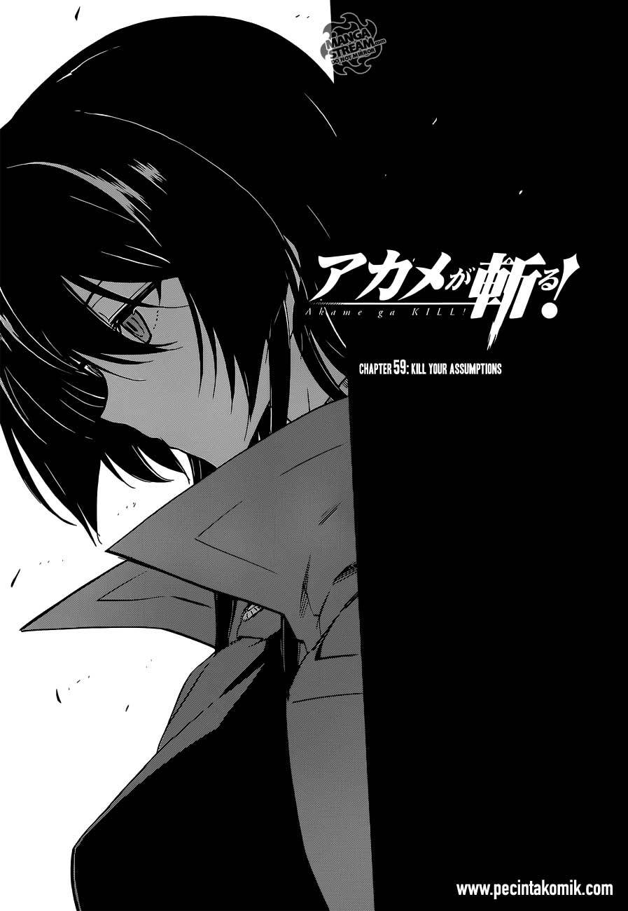 Baca  Akame ga Kill! Chapter 59 Gambar 2