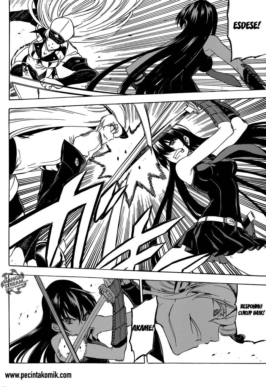 Akame ga Kill! Chapter 55 Gambar 8