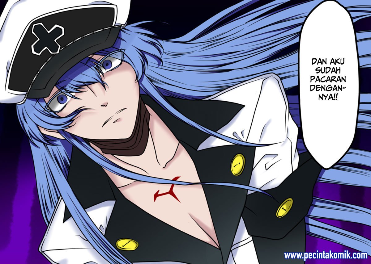 Akame ga Kill! Chapter 52.1 Gambar 31