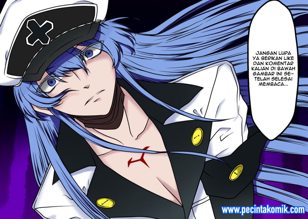 Akame ga Kill! Chapter 52.1 Gambar 42