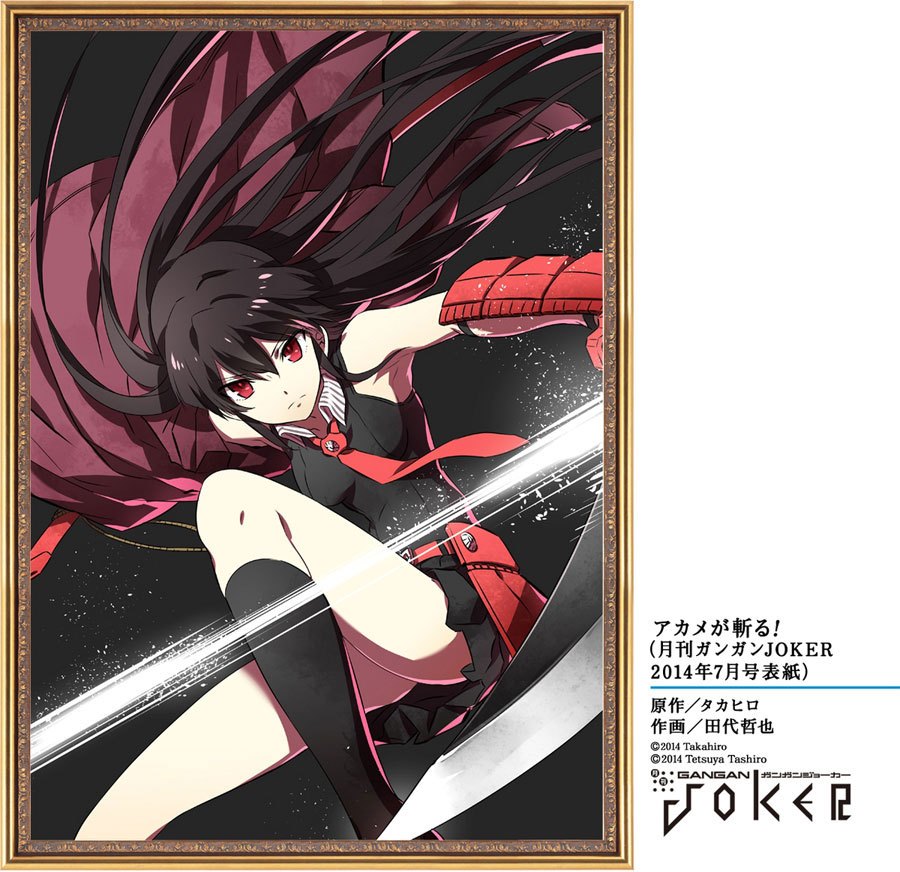 Akame ga Kill! Chapter 51 Gambar 7