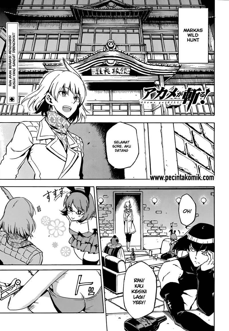 Baca  Akame ga Kill! Chapter 49 Gambar 2