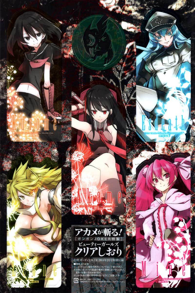 Baca Akame ga Kill! Chapter 47 Gambar 2