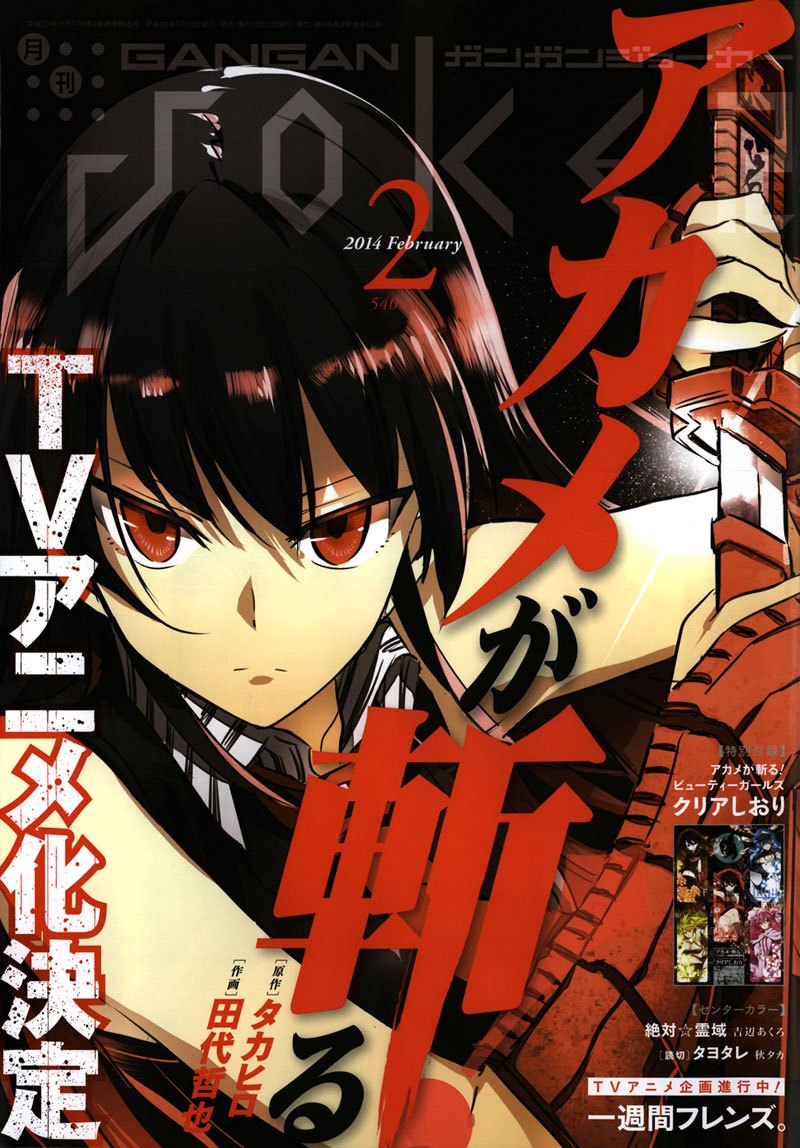 Baca Akame ga Kill! Chapter 46 Gambar 2