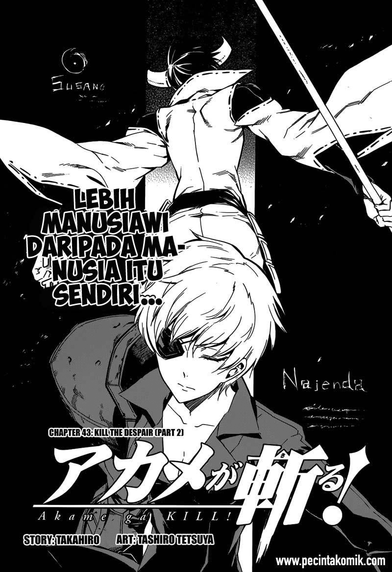 Akame ga Kill! Chapter 44 Gambar 4