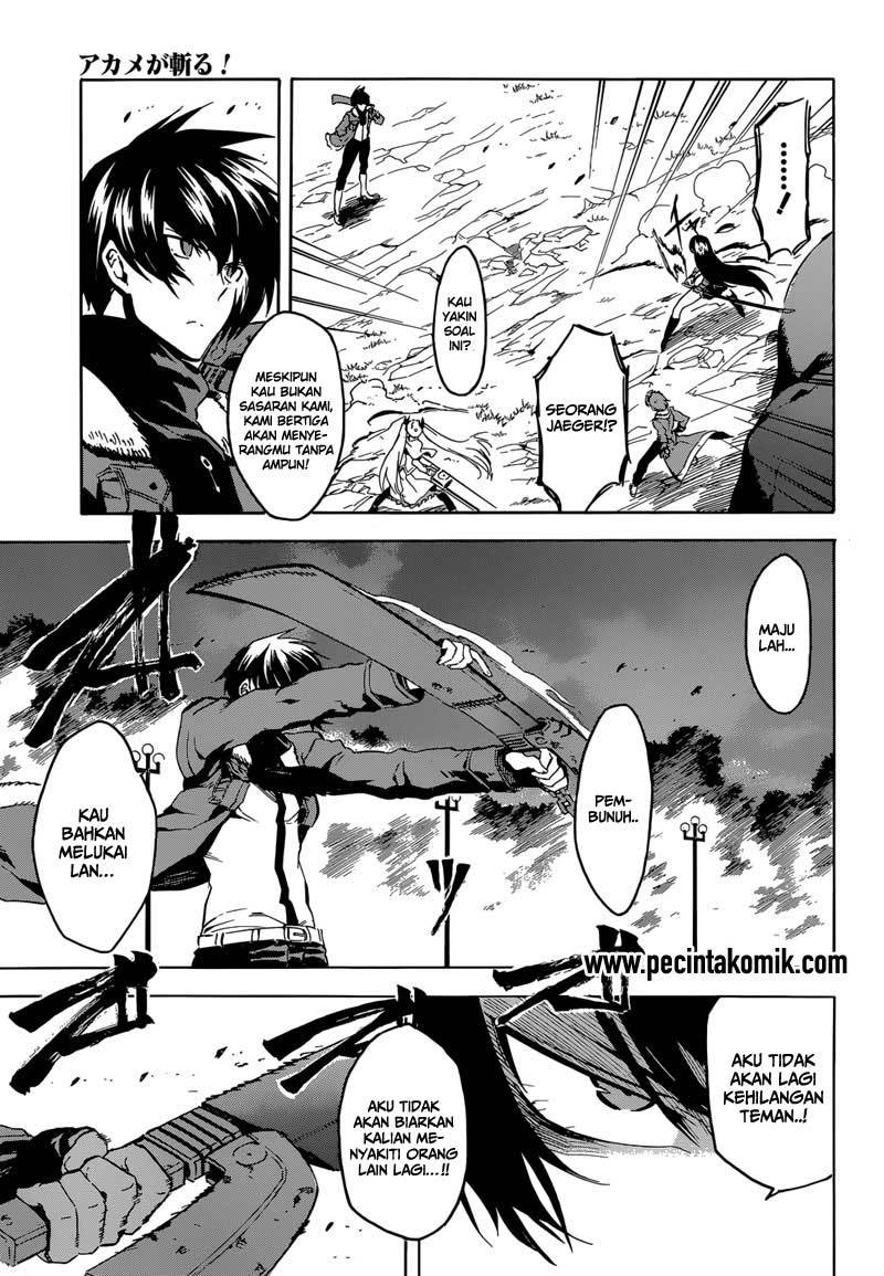 Akame ga Kill! Chapter 42 Gambar 14