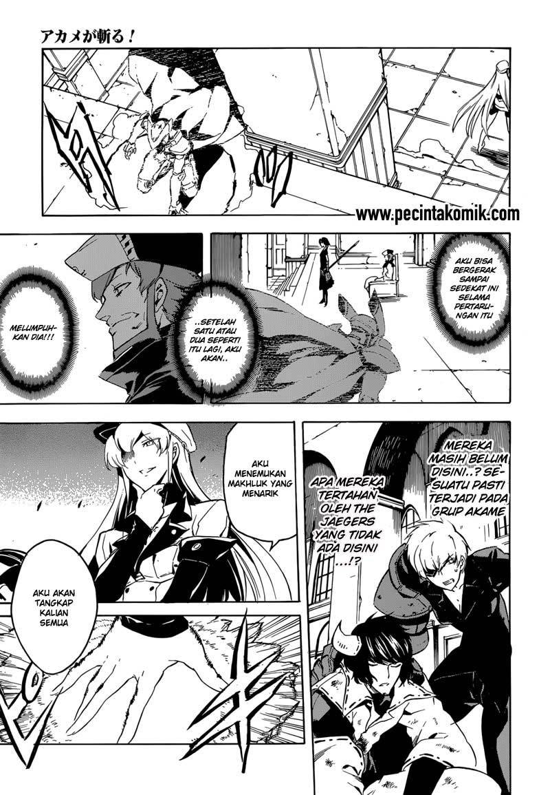 Akame ga Kill! Chapter 42 Gambar 36