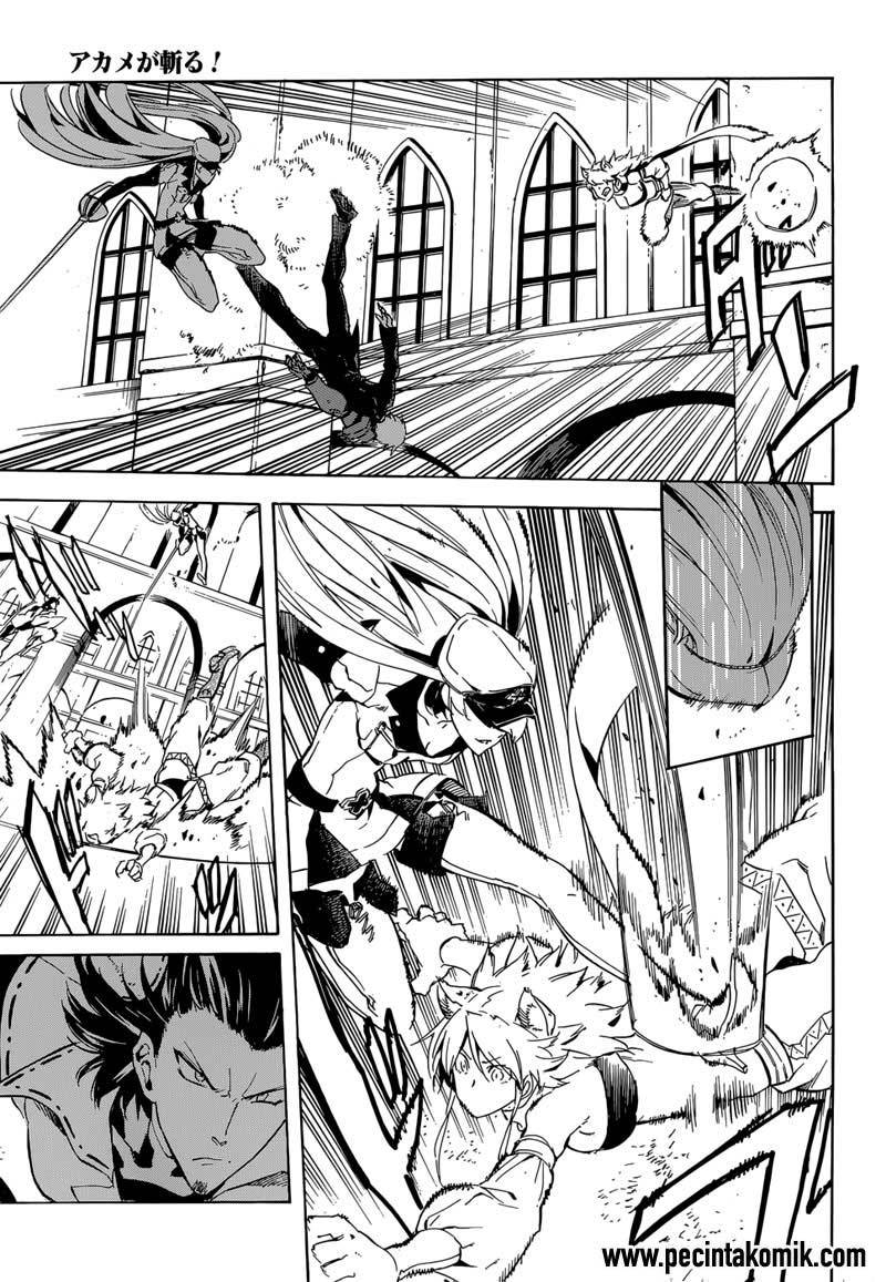Akame ga Kill! Chapter 42 Gambar 38