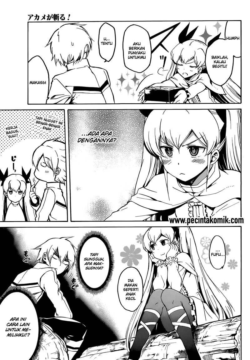 Akame ga Kill! Chapter 40 Gambar 14