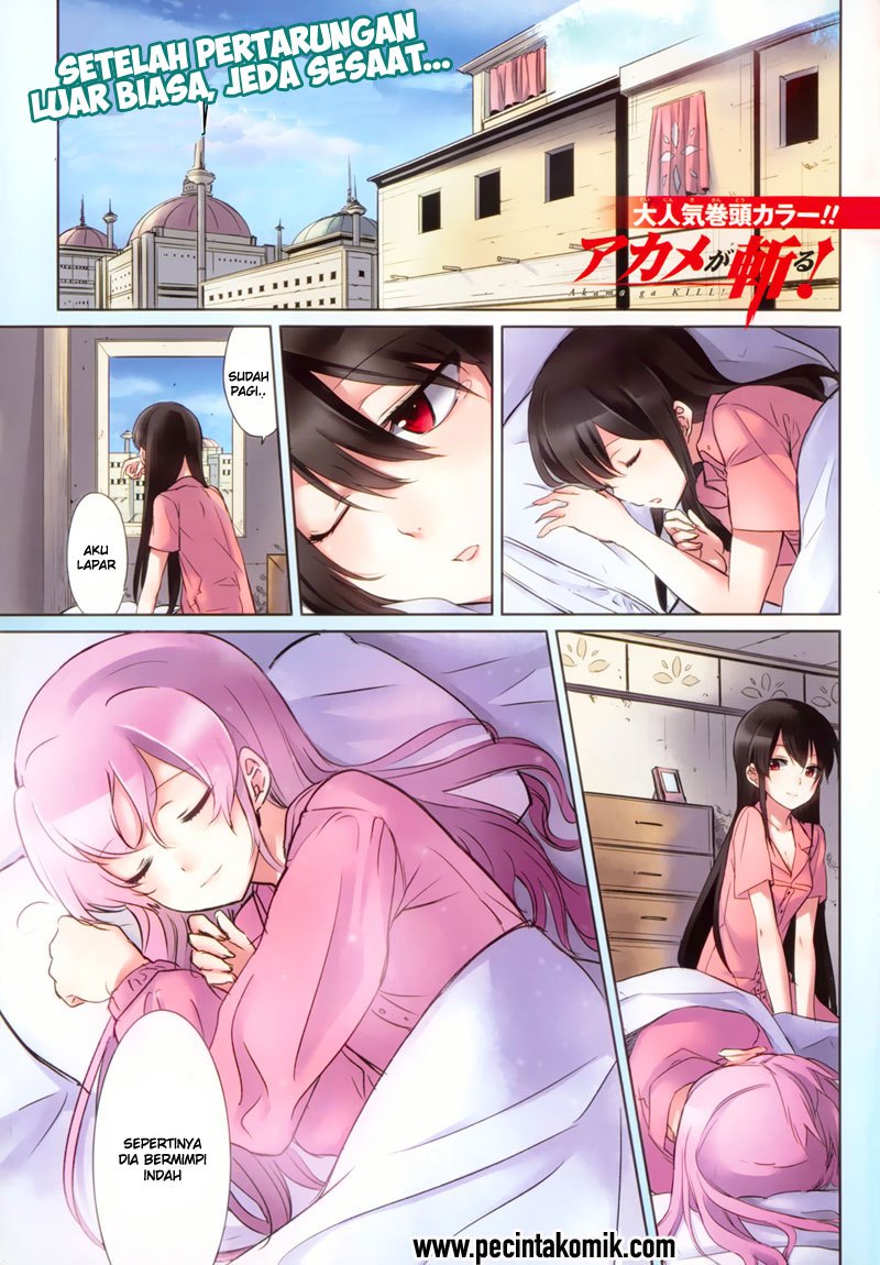 Baca  Akame ga Kill! Chapter 40 Gambar 2