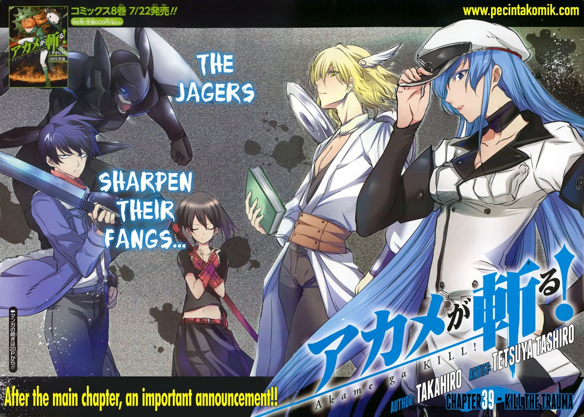 Akame ga Kill! Chapter 40 Gambar 3