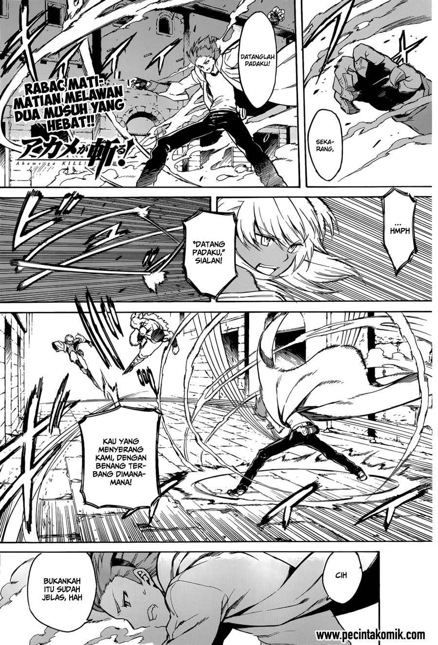 Baca Akame ga Kill! Chapter 37 Gambar 2