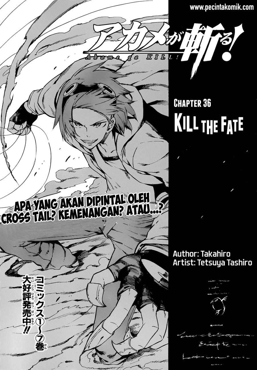 Akame ga Kill! Chapter 37 Gambar 6
