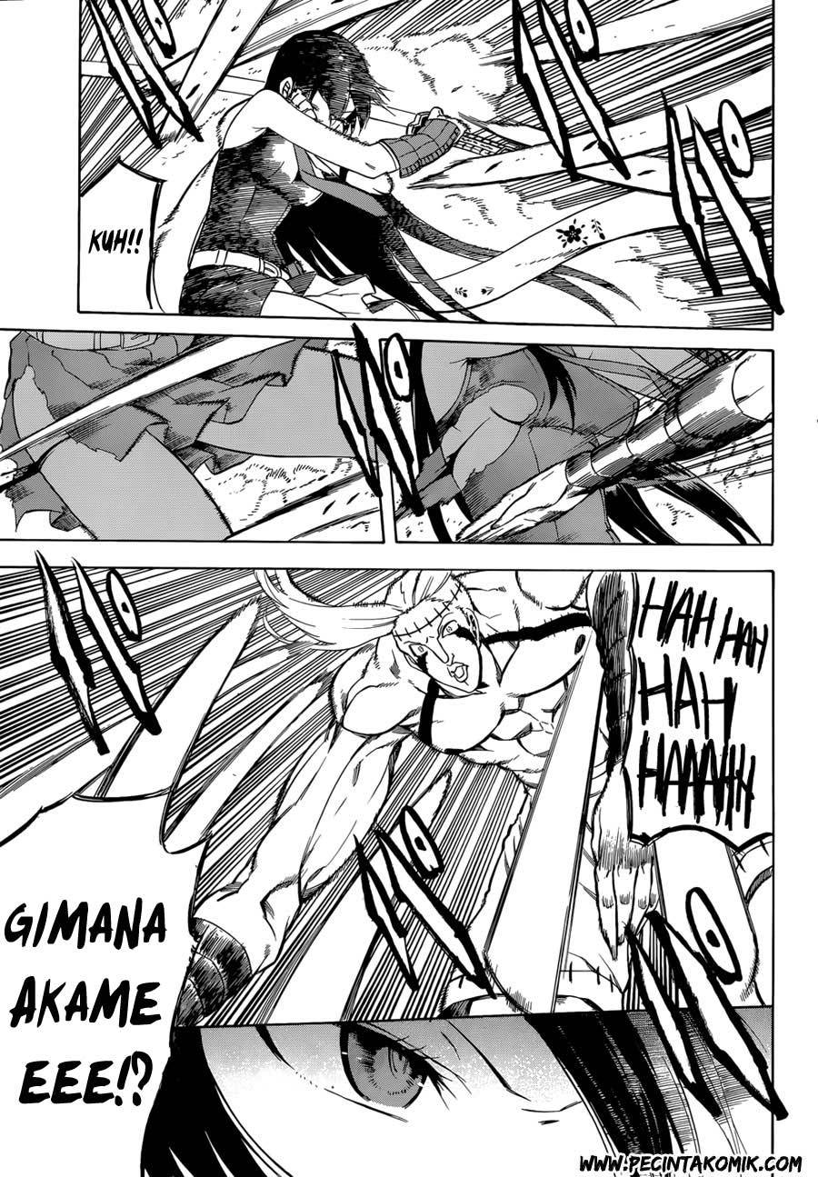 Akame ga Kill! Chapter 36 Gambar 32