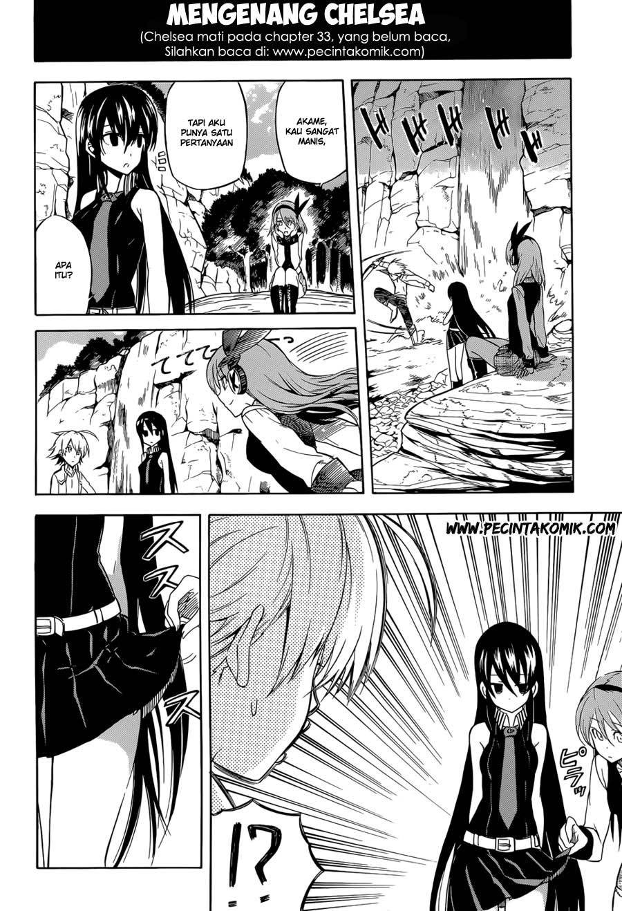 Akame ga Kill! Chapter 33 Gambar 11