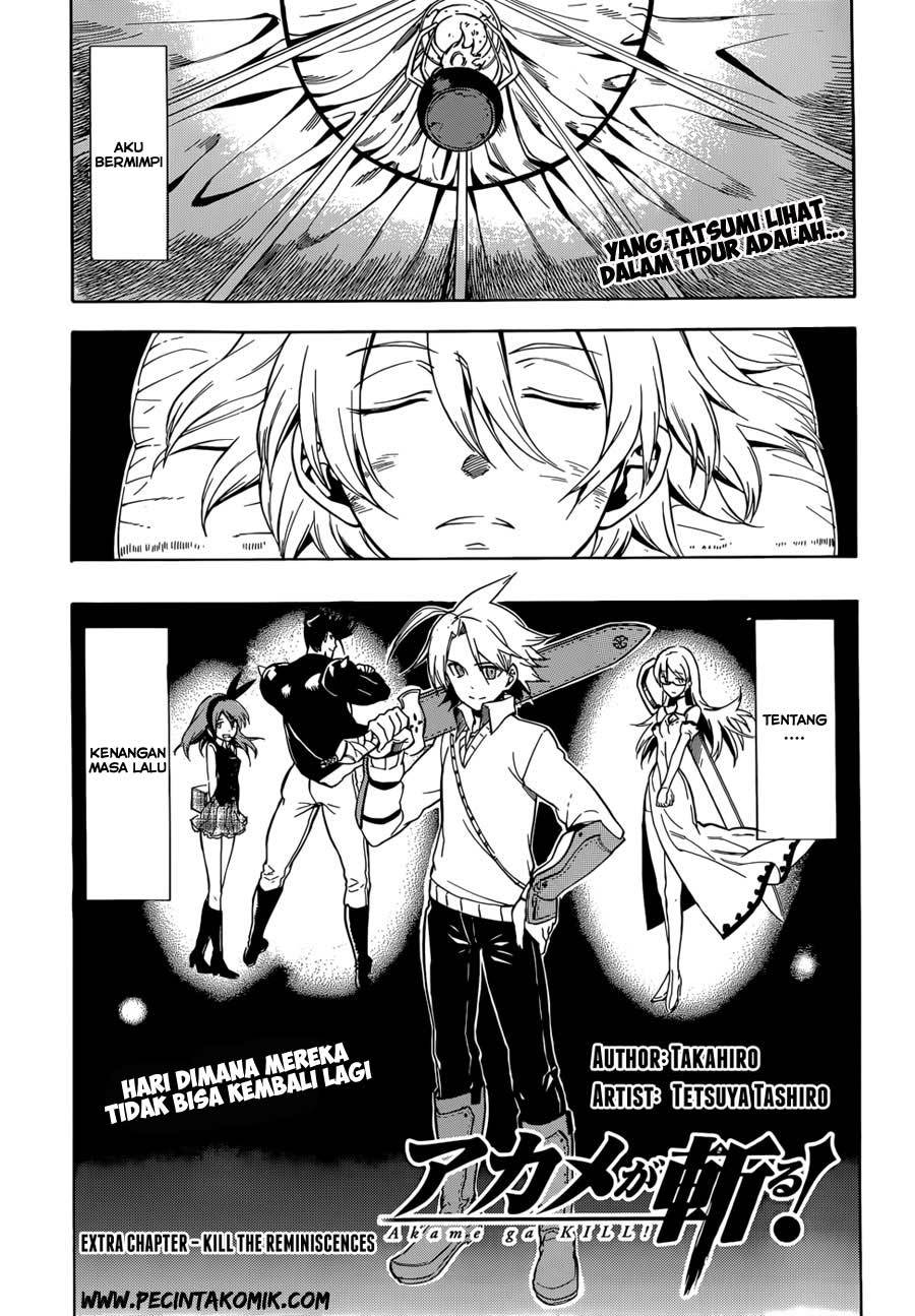 Baca Akame ga Kill! Chapter 33 Gambar 2