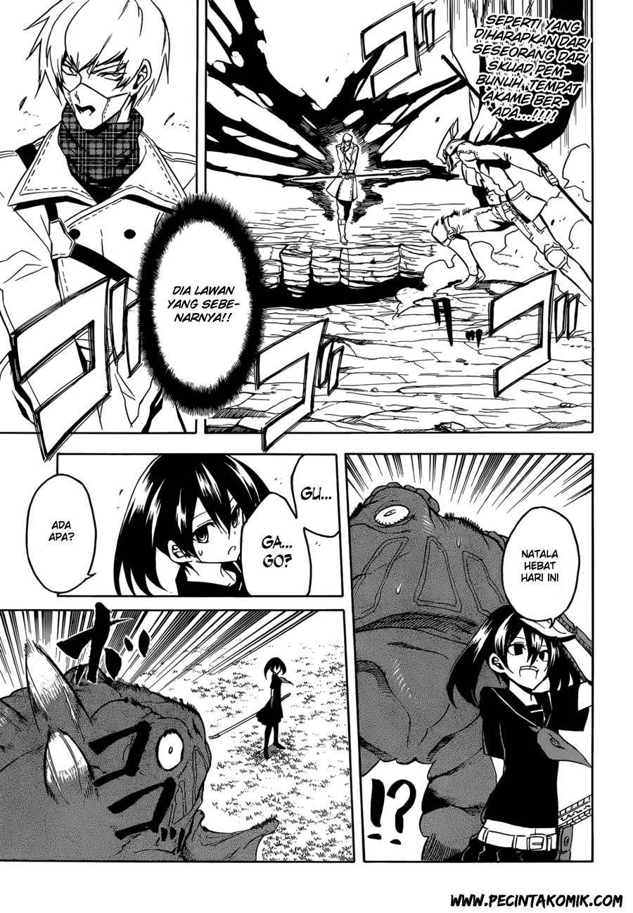 Akame ga Kill! Chapter 32 Gambar 17