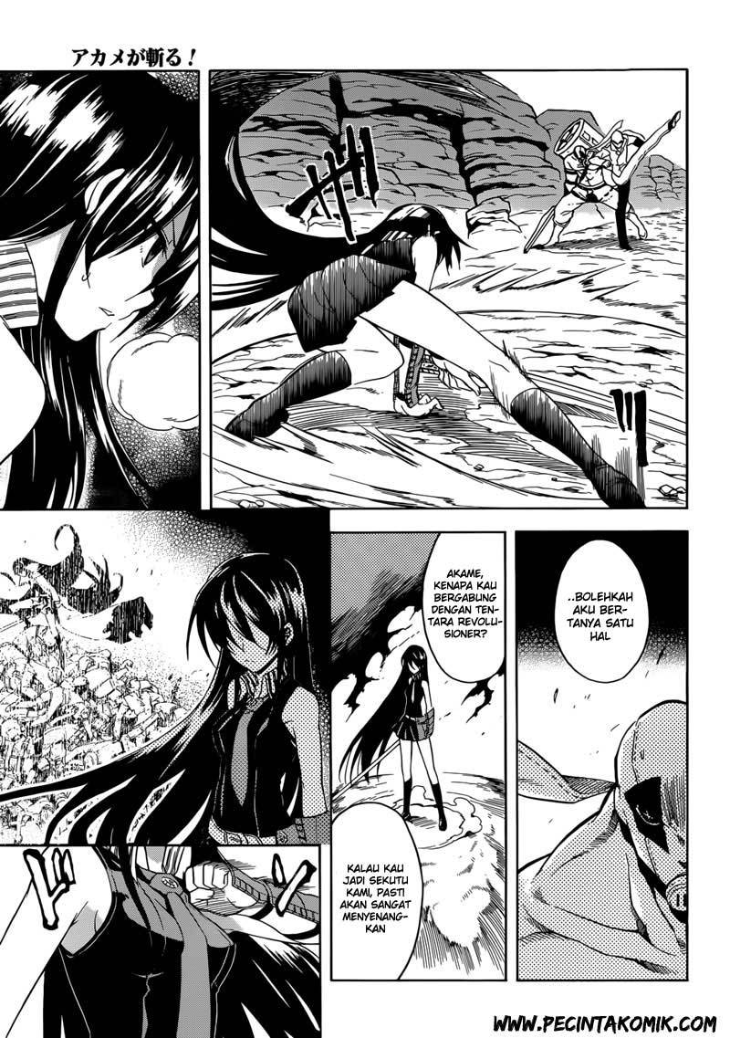 Akame ga Kill! Chapter 31 Gambar 10