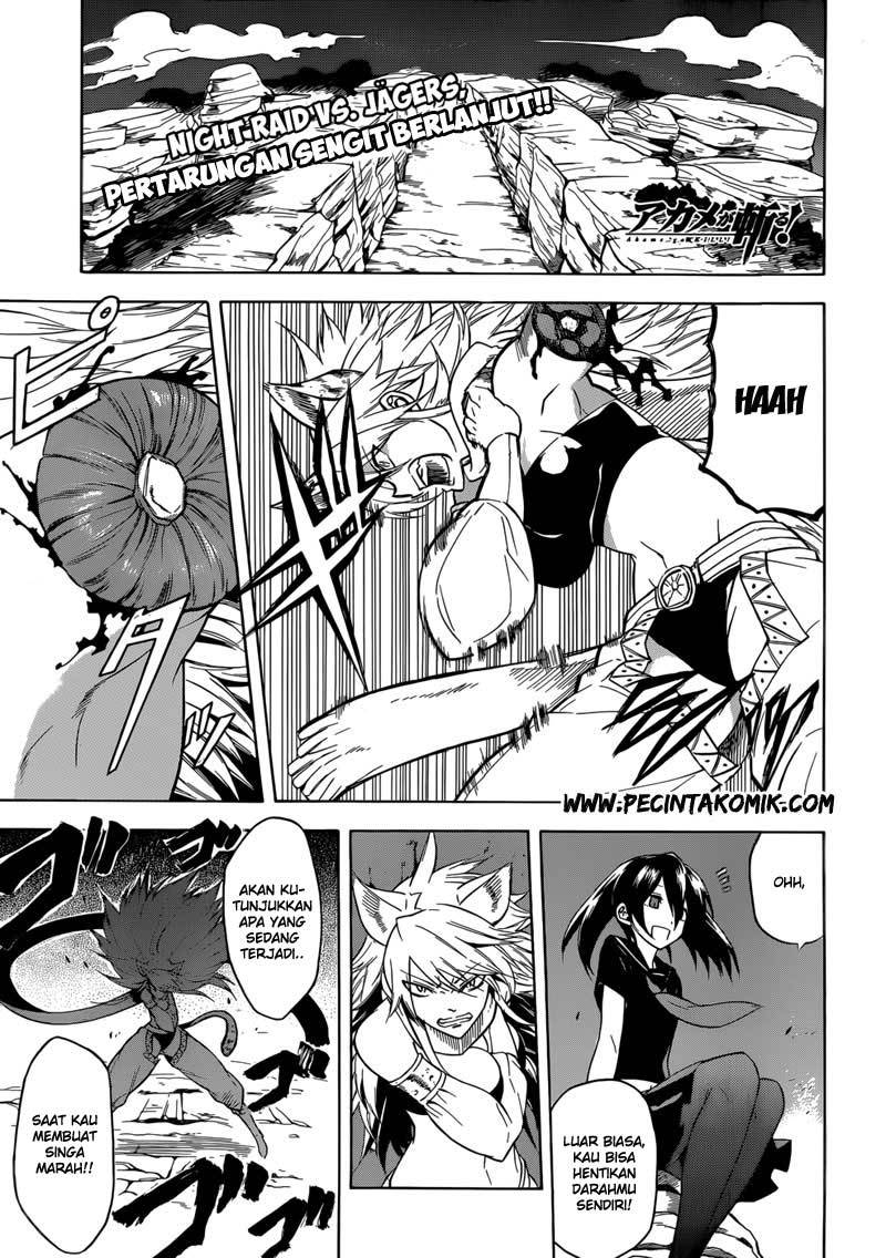 Baca Akame ga Kill! Chapter 31 Gambar 2