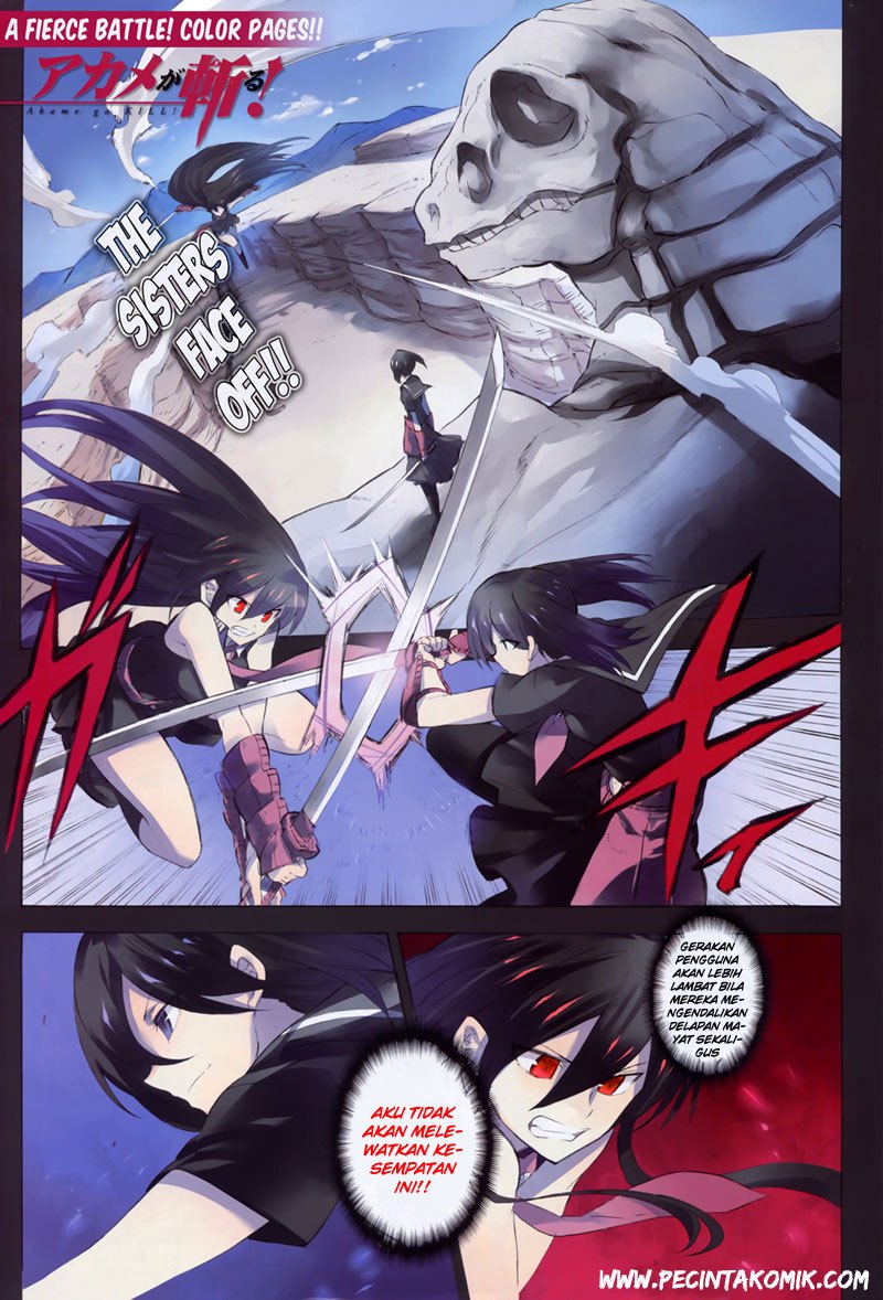 Akame ga Kill! Chapter 30 Gambar 3