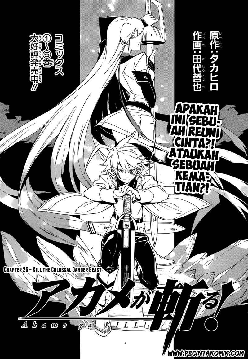 Akame ga Kill! Chapter 26 Gambar 4