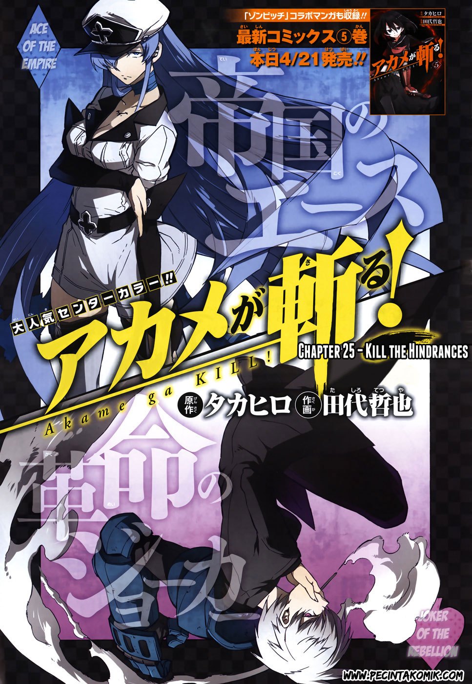 Akame ga Kill! Chapter 25 Gambar 4