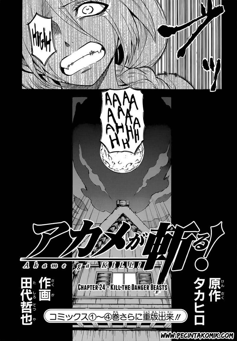 Akame ga Kill! Chapter 24 Gambar 4