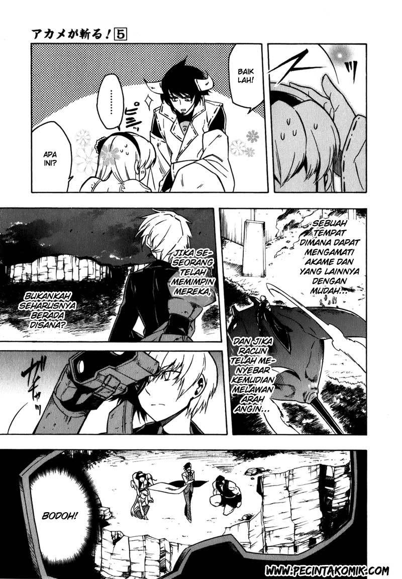 Akame ga Kill! Chapter 21 Gambar 30