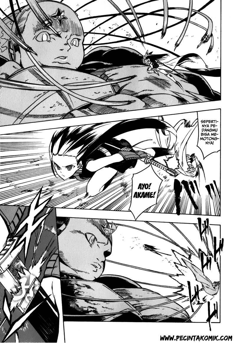 Akame ga Kill! Chapter 21 Gambar 44