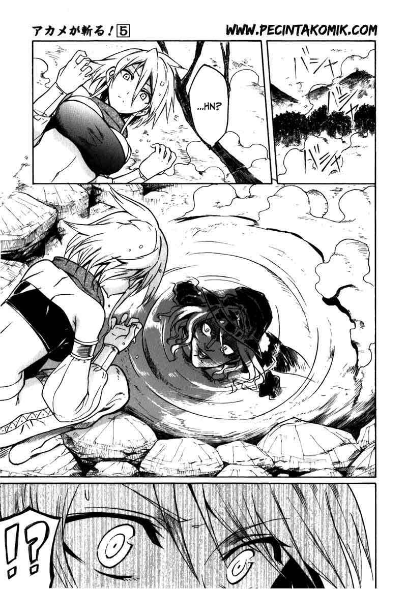 Akame ga Kill! Chapter 20 Gambar 14